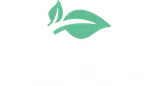 Sprout Processing